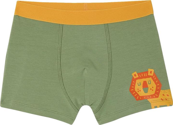 Produktbild Vertbaudet Bio-Kollektion: 5er-Pack Jungen Stretch-Boxershorts Dschungel (110, 5er Pack)