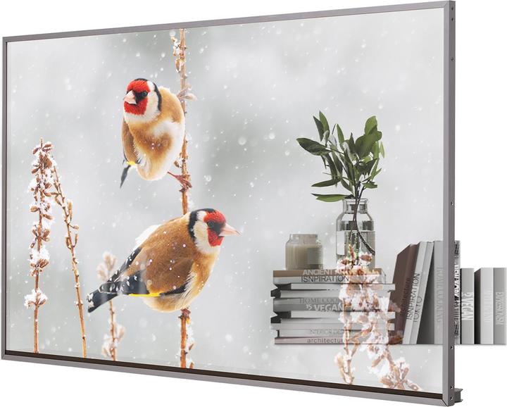 Actual product image LG 55EW5P-M (1920 x 1080 pixels, 55")