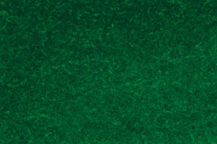 Actual product image Edding 3000 (Multicoloured, 3 mm, 4 x)