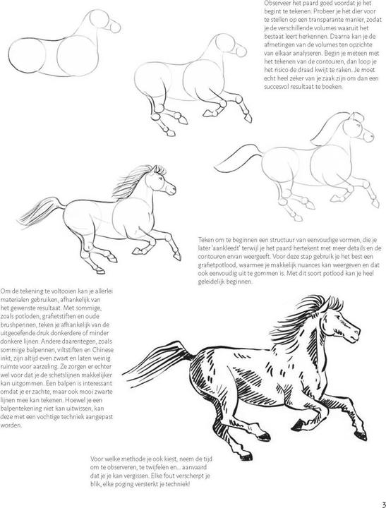 Immagine prodotto Impara a disegnare i cavalli passo dopo passo