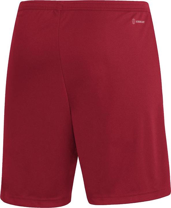 Actual product image adidas Entrada 22 Shorts Men (3XL)