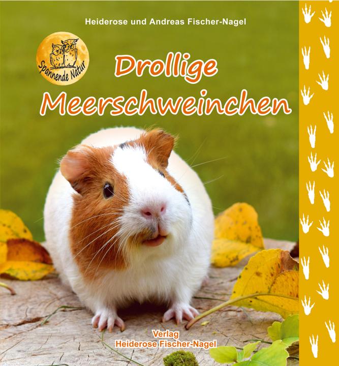 Produktbild Drollige Meerschweinchen (Deutsch)