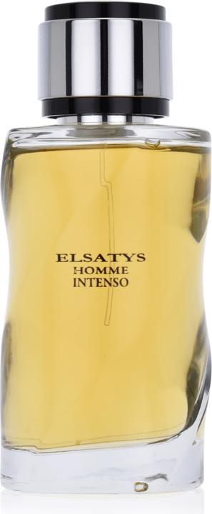 Image du produit Reyane Tradition Elsatys Homme Intenso EDP 100ml (Eau de parfum, 100 ml)