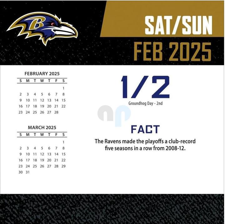 Actual product image NFL - Baltimore Ravens - Desk Calendar 2025 (German, French, Italian, Spanish, English)