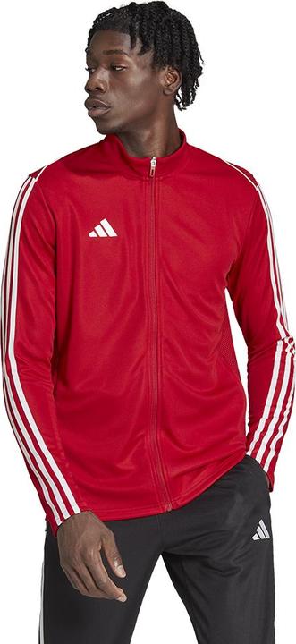 Actual product image adidas Tiro 23 League Training Jacket Men (M)