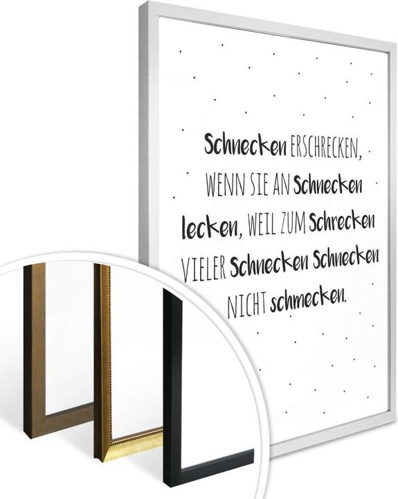 Immagine prodotto Trenddeko Scioglilingua - spaventare le lumache (60 x 80 cm)