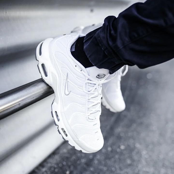 Image du produit Nike Air Max Plus (44.5)