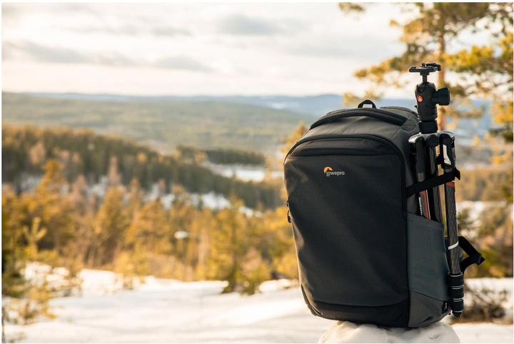 Image du produit Lowepro Flipside BP 400 AW III (Sac à dos photo, 20 l)