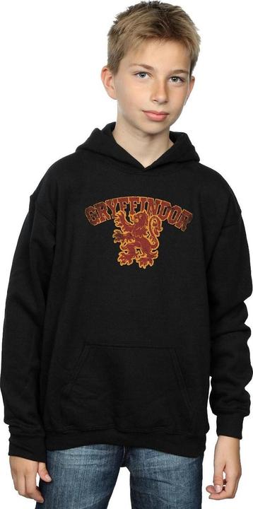 Immagine prodotto Gryffindor Sport Emblem Felpa con Cappuccio Ragazzi (140, 146)
