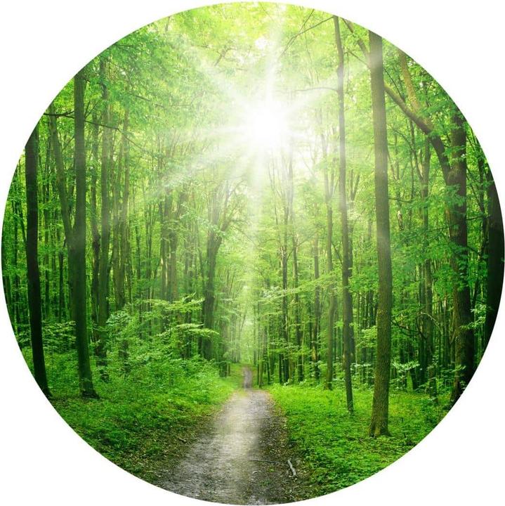 Produktbild Trenddeko Sunny Forest (Ø 50 cm)