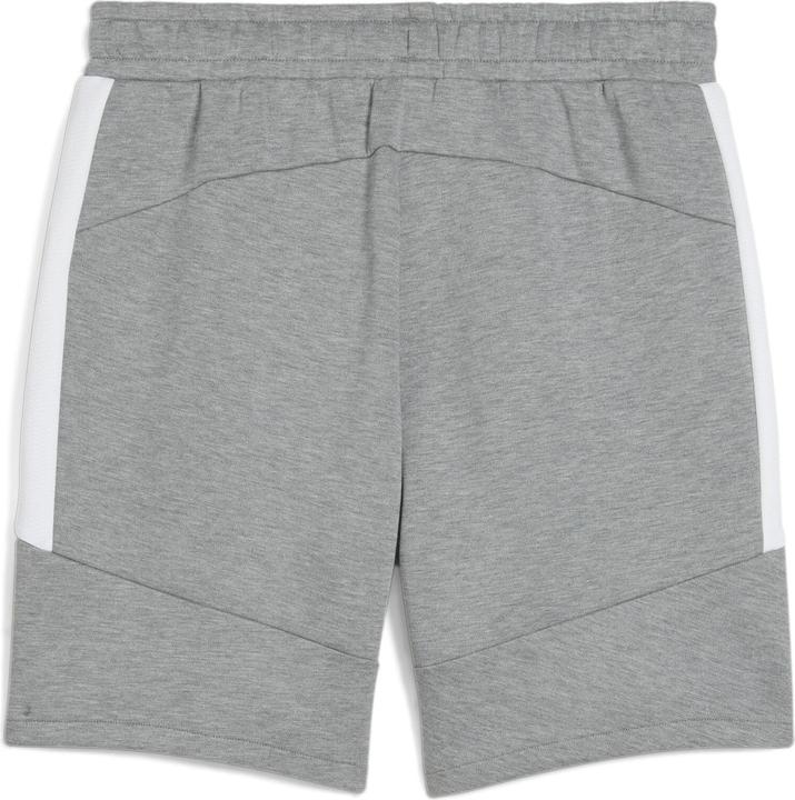 Image du produit Puma Short teamEVOSTRIPE (M)