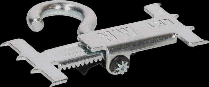 Actual product image Max Hauri Lamp claw
