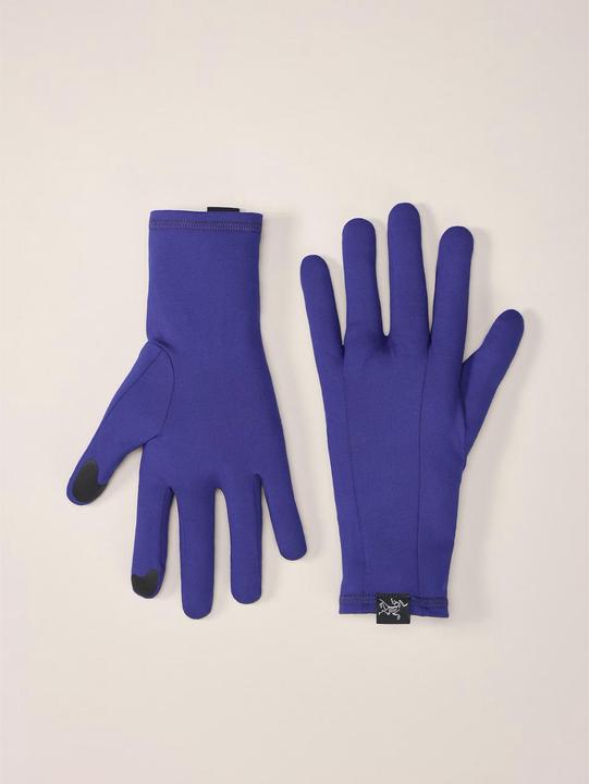 Actual product image Arc'teryx Rho (L)