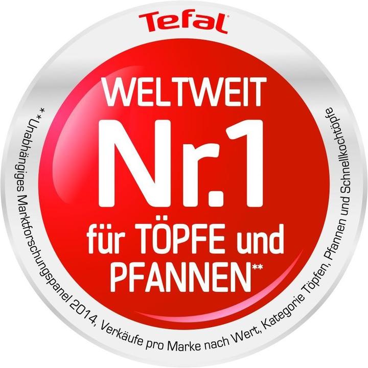 Actual product image Tefal Gourmet Series Pot Set (Casserole + Stewpot, Pot)