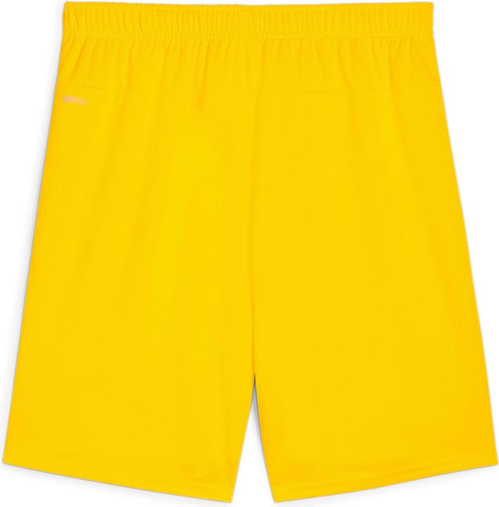 Produktbild Puma teamGOAL Shorts (S)