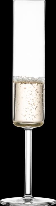 Actual product image Schott Zwiesel Modo 7 champagne glass 4 pieces (16.30 cl, 4 Glasses, Champagne glasses)