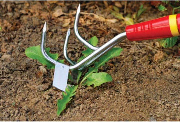 Produktbild Wolf-Garten Jätegrubber 7 cm Combisystem M