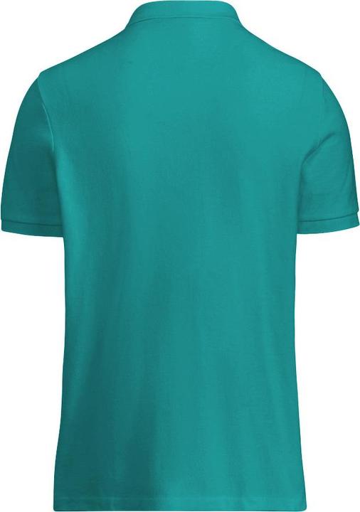 Immagine prodotto Henbury Polo (S)