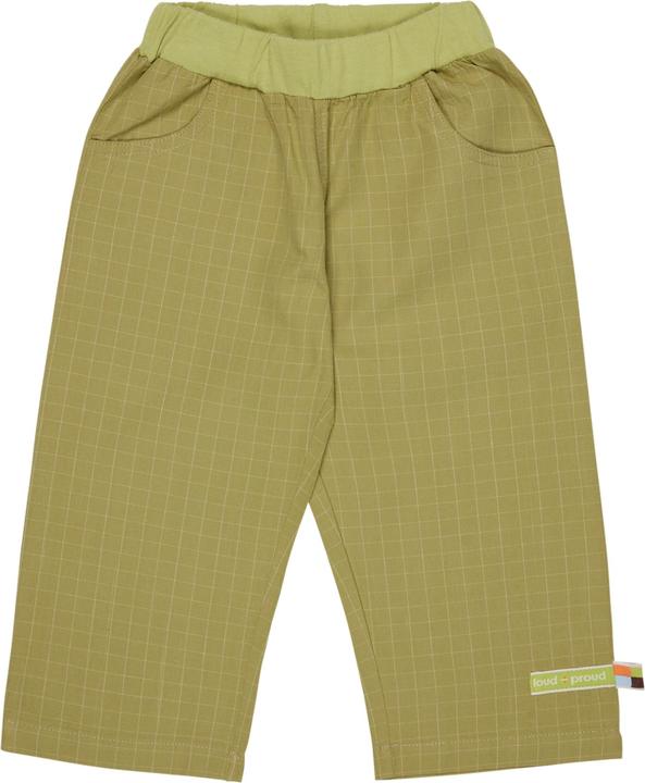Actual product image loud + proud Fine check trousers (92)