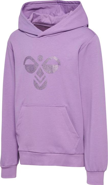 Image du produit hummel hmlCUATRO HOODIE (176)