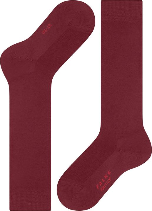 Actual product image Falke Family KH (Single pack, 31 - 34)