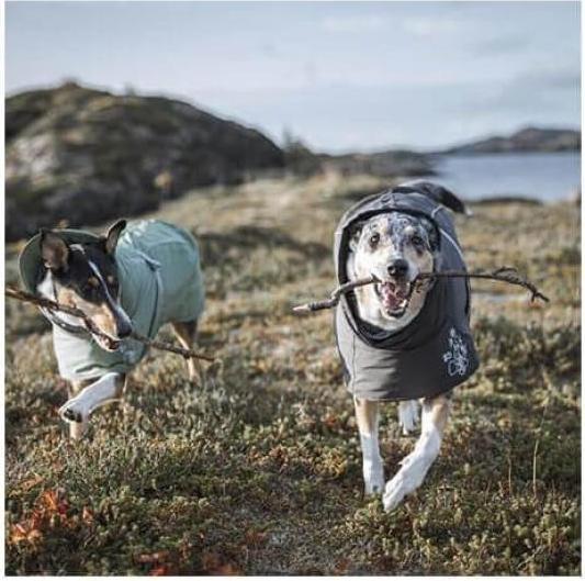 Actual product image Hurtta Extreme warm ECO hedge Gr.45 (45, Dog coat)