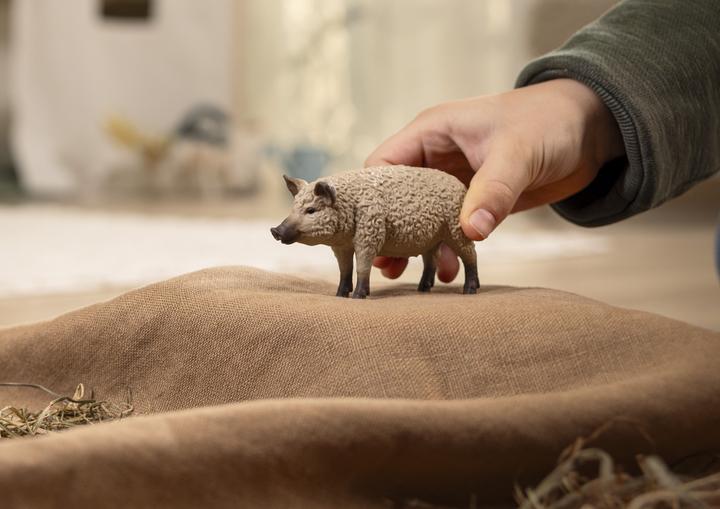 Immagine prodotto Schleich Maiale lanoso