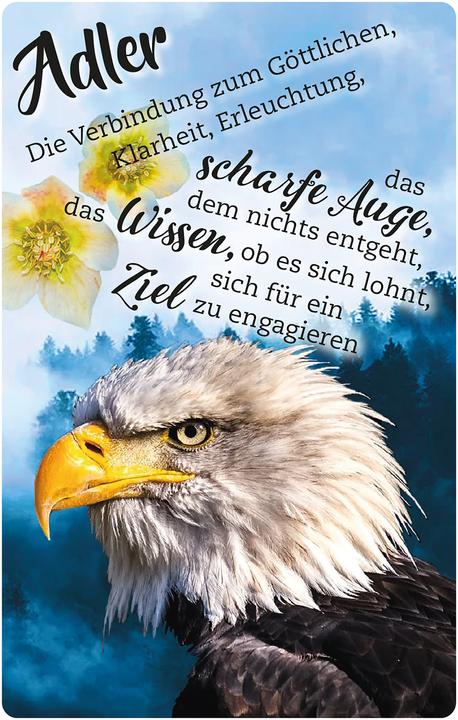 Actual product image Krafttier-Orakelkarten (German, Eva Katharina Young, 2021)
