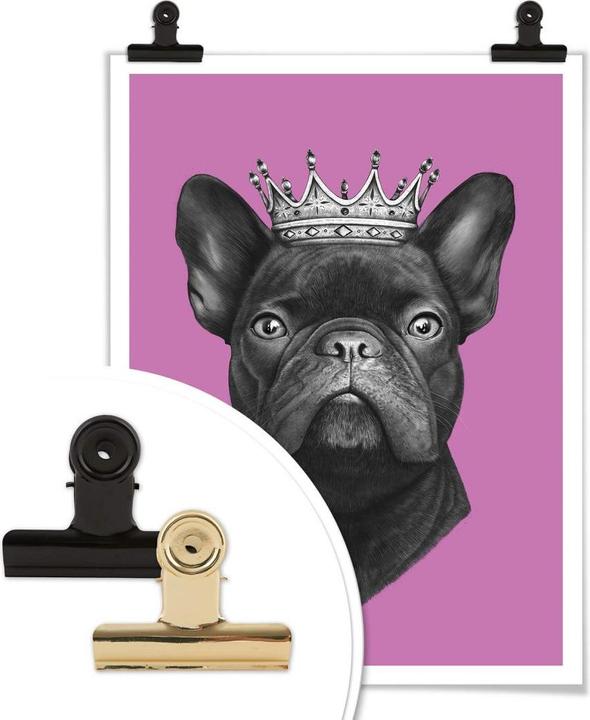 Image du produit Trenddeko King French Bulldog rose (80 x 100 cm)