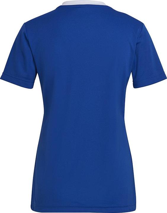 Actual product image adidas Entrada 22 Women's Football Shirt (XXS)