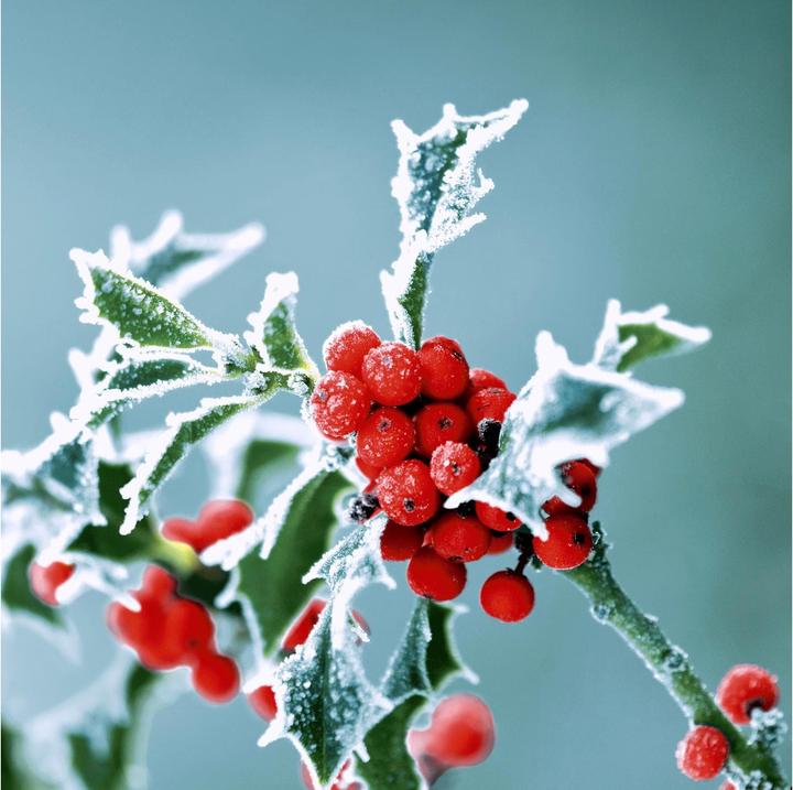 Vert, Rouge