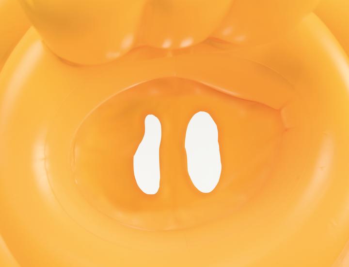 Actual product image Bestway Swim Ring for Baby