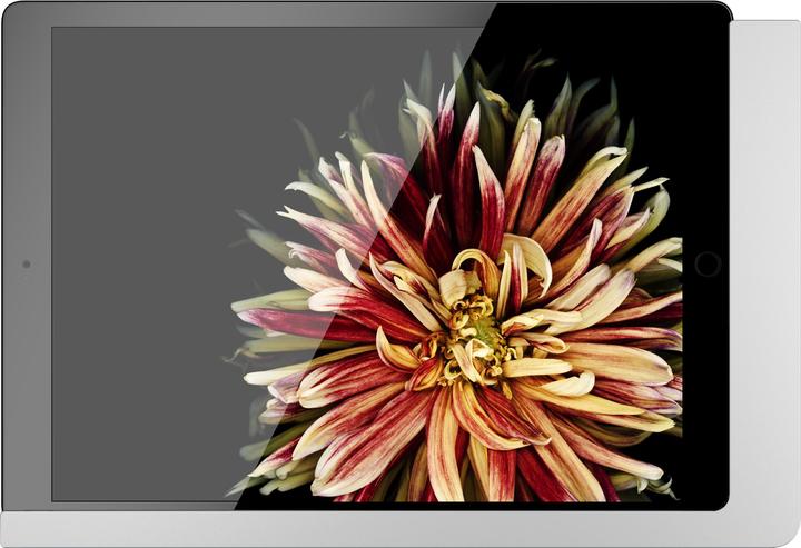Produktbild Viveroo iPad