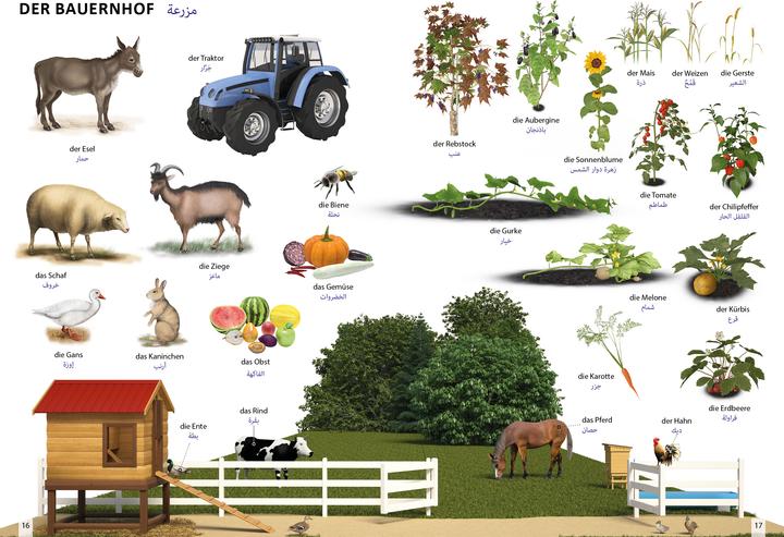 Actual product image Bildwörterbuch für Kinder und Eltern Ar (German, Arabic, Igor Jourist, 2024)
