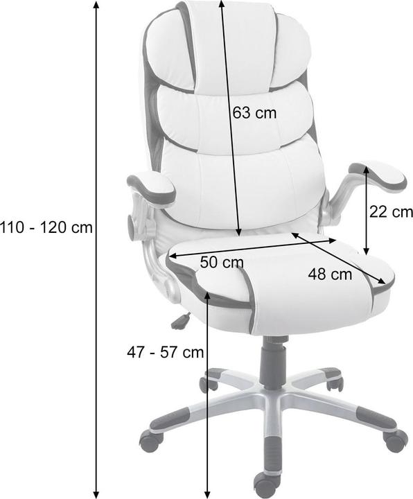 Immagine prodotto Swisshandel24 Chefsessel