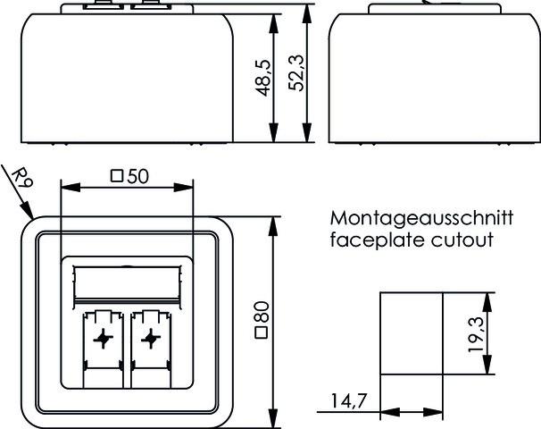 Actual product image Telegärtner Module holder surface 80x80 2-fold alpine white