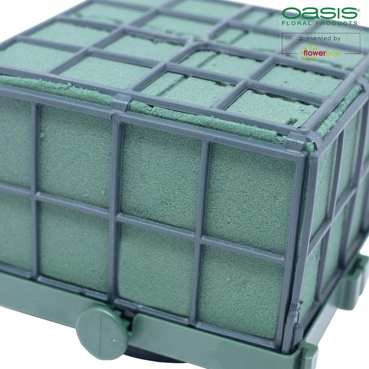 Image du produit Oasis Auto-Corso 11 x 11 x 9 cm, 6 pièces