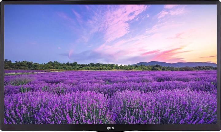 LG Hotel TV 24LN662V (24", LED, WXGA, 2023)