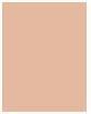 Produktbild Rimmel London Lasting Radiance (100 Ivory)