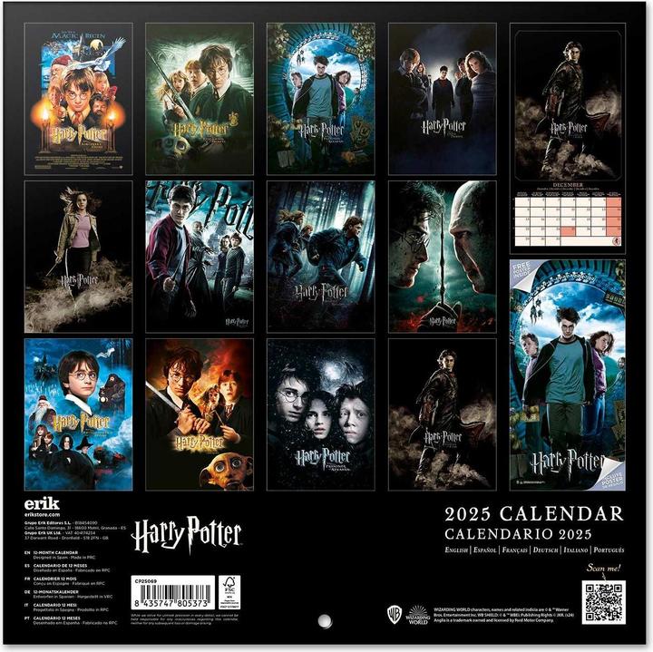Immagine prodotto Calendario dei film di Harry Potter 30 x 30 / 30 x 60 cm (30 x 30 cm)
