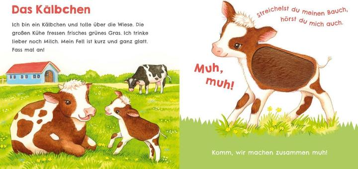 Image du produit Hör mal, wie ich schnattern kann (Mein erstes Streichel-Soundbuch 1) (Allemand)