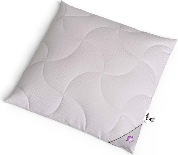 Immagine prodotto Lotus Bettwaren Cuscino antistress (65 x 65 cm)
