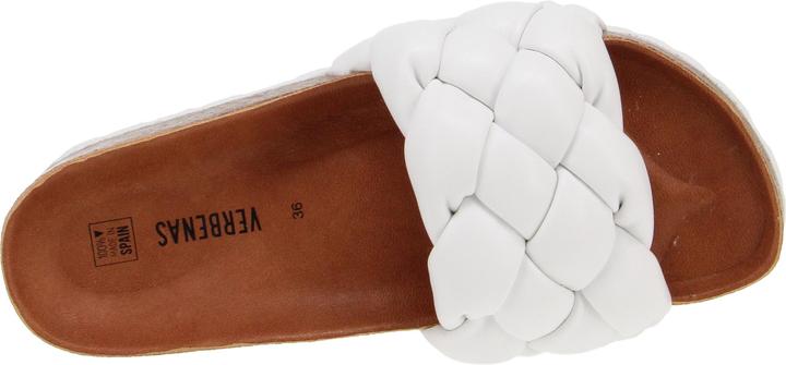 Image du produit Verbenas Rai (36)