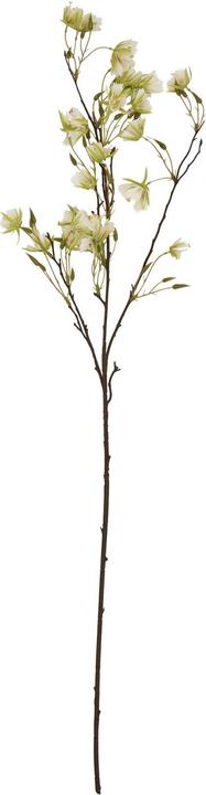 Produktbild Hill Interiors Kunstblume (100 cm)