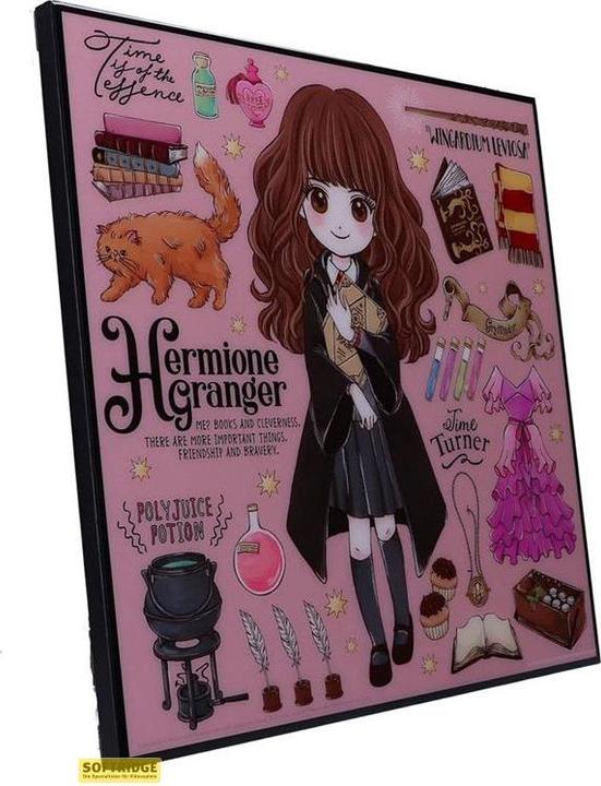 Produktbild Nemesis Now Harry Potter - Hermione Granger Crystal Clear Picture (32 x 32 cm)