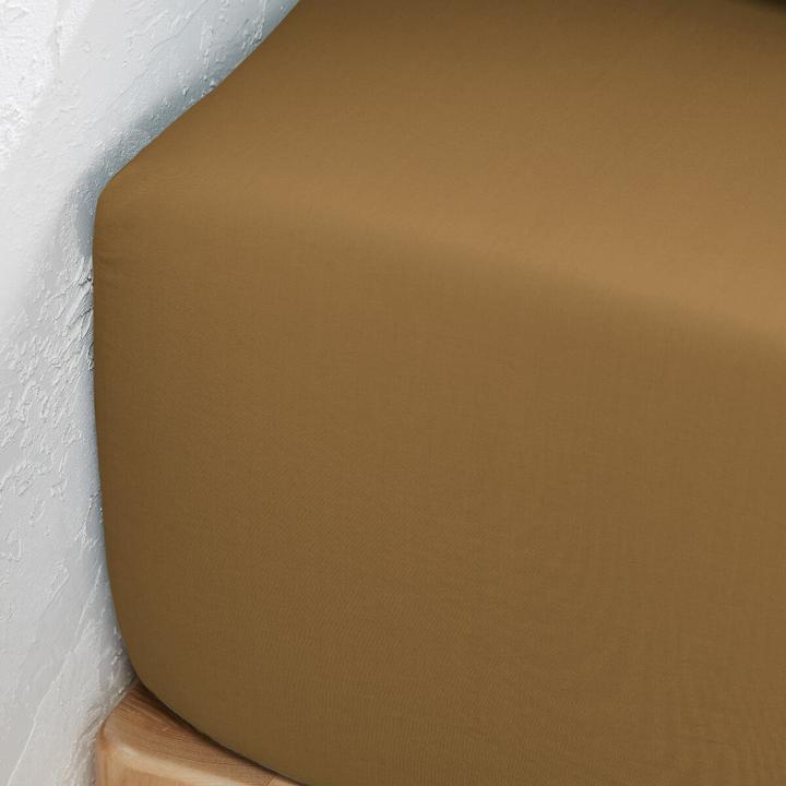 Produktbild La Redoute Interieurs Percale Bio (180 x 200 cm)