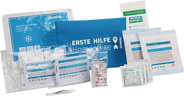 Actual product image Söhngen First Aid Bag Home Office B240xH170xDca. blue (First aid set accessories)