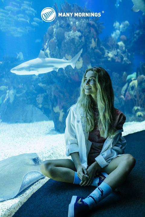 Produktbild Many Mornings Ocean Life (Einzelpack, 43 - 46)