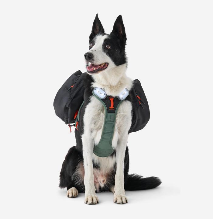 Image du produit Caperlan Harnais de randonnée pour chien (S, Chien)