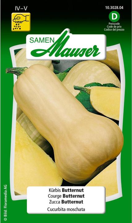 Courge musquée (Graines de légumes)